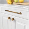 Asidrama 10 Pack 10 Inch(254mm) Antique Brass Cabinet pulls Kitchen