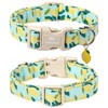 MR.CHUBBYFACE Summer Lemon Dog Collar, Light Adjustable Puppy Collar with