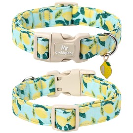 MR.CHUBBYFACE Summer Lemon Dog Collar, Light Adjustable Puppy Collar with Plastic Buckle, Cute Pet Collar for Small Medium Large Dogs