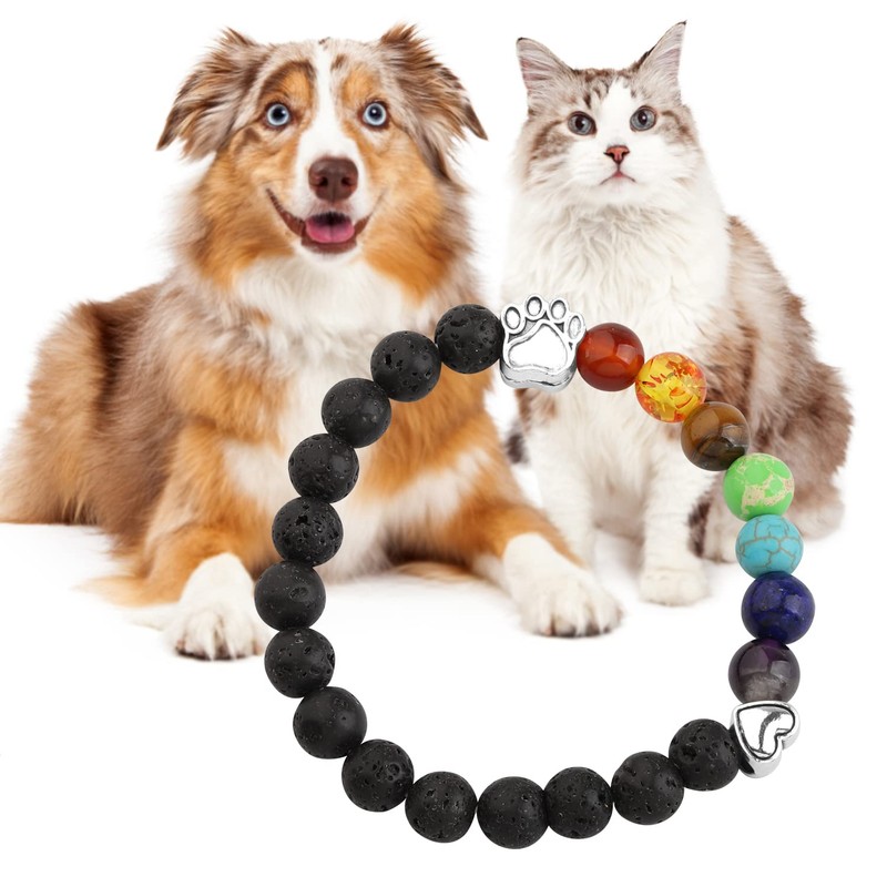 Gzrlyf Pet Memorial Bracelet Rainbow Bridge Pet Memorial Gifts I