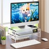 Egchi Clear Acrylic Monitor Stand Riser 2 Tier, 5.12 Inches