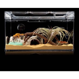 Reptile Water Dish,Resin Reptile Rock Food Feeder Bowl, Water and Food Bowl,Terrarium Decor for Leopard Gecko, Lizard,Spider,Turtle,Scorpion, Chameleon,Hermit Crabs (S, Green-Glow in Dark)