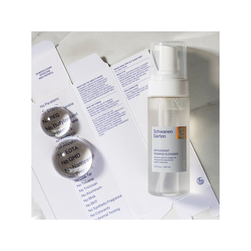 Schwanengarten Antioxidant Foaming Cleanser Deep Cleansing Care / 슈바넨가르텐 안티옥시던트