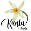Kuntu Vanilla - Tahiti Gourmet Quality A Vanilla Beans 50