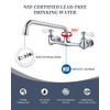 Phivan NSF/ANSI 61 Certified 8" Lead-Free Commercial Sink Faucet Wall