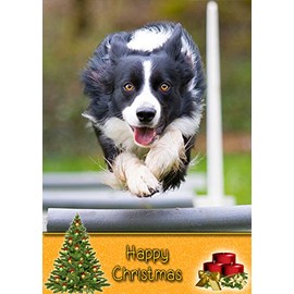 Border Collie Dog Christmas Card 'Happy Christmas' - Special Animal Xmas Card for Him Her from Pets Kids