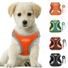 LOS ANDES Dog Harness Small Dogs, Chest Harness with Lead,