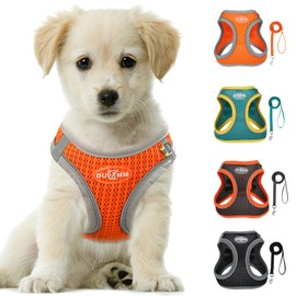 LOS ANDES Dog Harness Small Dogs, Chest Harness with Lead, Reflective Soft Padded Cat Harness, Air Mesh Dog Harness for Puppies, Small Dogs, Cats