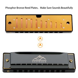 EastRock Blues Harmonica Mouth Organ 10 Hole C Key with Case, Diatonic Harmonica for Professional Player, Beginner, Students gifts, Adult, Friends, Gift Black