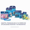 Adaptil - Adjustable Collar, Calming and Comfort, M-L Dog