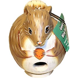 Songbird Essentials SE3880086 Squirrel Gord-O Birdhouse (Set of 1)