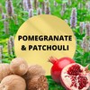 Black Canyon Pomegranate & Patchouli Scented Argan Oil Hair Conditioner,