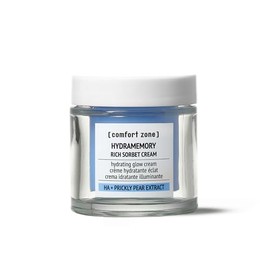 Hydramemory Rich Sorbet Cream