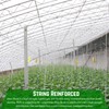 Farm Plastic Supply - String Reinforced 4 Year UV Resistant