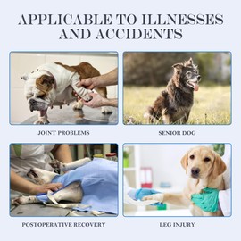 Dog Lift Harness, Full Body Support with Adjustable Control Handle for Large Senior Dogs, Post-Surgery Recovery & Joint Problems (Oxford Cloth, XL)