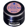PRE GEL COLOR EX APRICOT PINK NEO279 4g UV/LED Compatible
