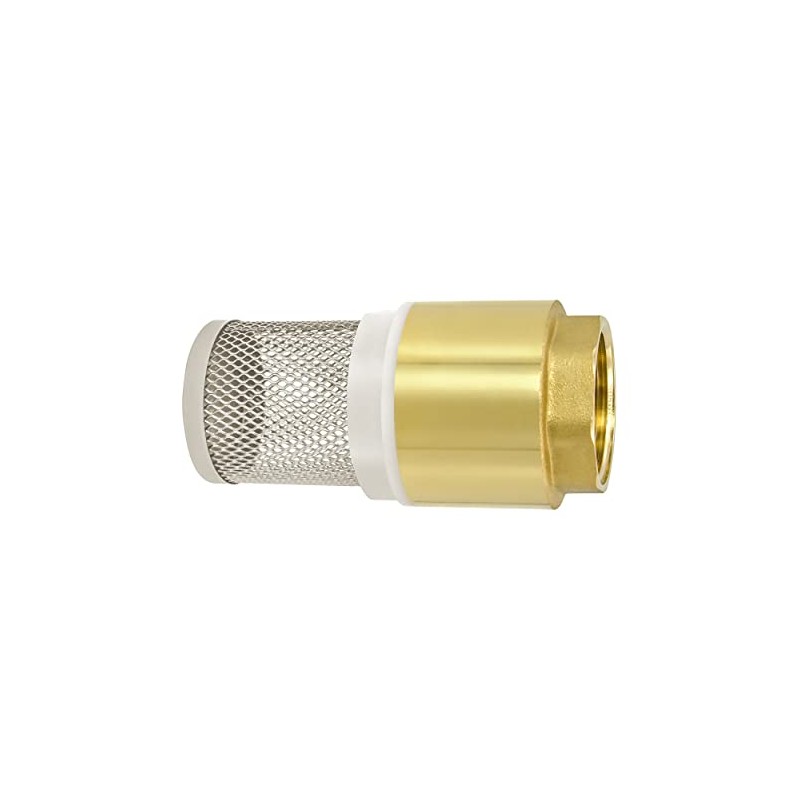 VARIOSAN Foot Valve 14146, 3/4 Inch Check Valve, Brass, Stainless