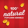 Orville Redenbacher's Gourmet Popcorn Kernels, Original Yellow, 4g Fiber Per