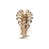 e-select+ French Lace Hair Claw Large 3.9 inches (10.0 cm),