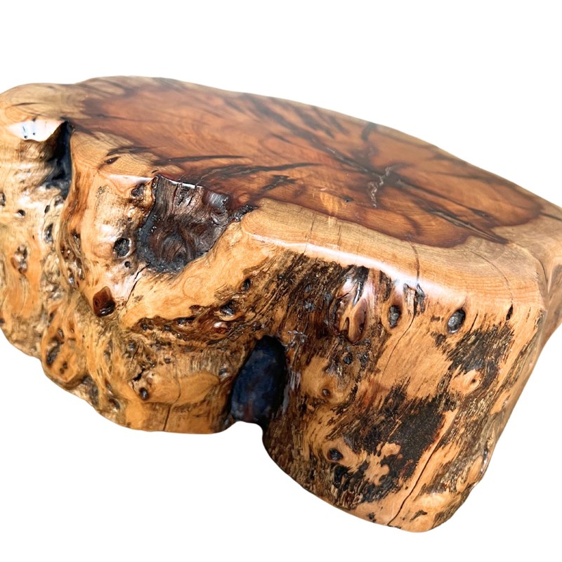 THY COLLECTIBLES Natural Tree Trunk Stump Stool with Live Edge