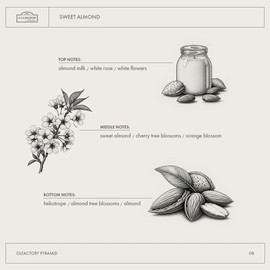 A LA MAISON Sweet Almond Bar Soap - Triple French Milled Unscented Natural Moisturizing Hand Soap Bar (4 Bars of Soap, 3.5 oz)