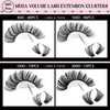 Goddvenus Eyelashes Cluster Lashes 14-20mm Thick Fluffy Individual Eyelashes 80D-200D