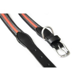 Alvalley Reflective Dog Collar - Heavy Duty Nylon Webbing Dog Training Collar - Training Collar for Dogs with Buckle - Ideal for Small, Medium, Large Dogs (Black, 22in Long, 25mm Thick)