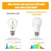 Neporal Full Spectrum Light Bulb, 6000K Natural Sunlight Bulbs, Cool