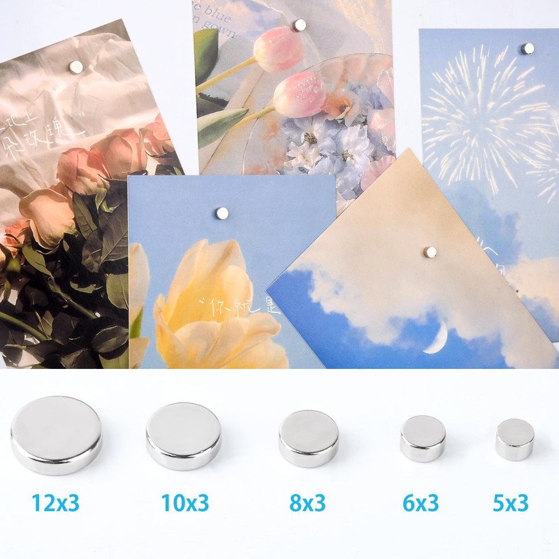 BOCHUANG 80pcs Super Strong Round Magnets 5x3mm Neodymium Magnets Strong