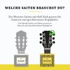 BELFORT® Guitar Strings for Western Guitar, Premium Phosphor Bronze (3