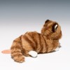 Petite Assorted – Box- (Mini) (A) Cat Brown