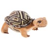 Schule der Magischen Tiere Tortoise GRS/PET Henrietta Small, Brown