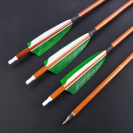 surwolf 31Inch Carbon Arrow Practice Target Arrows with 4" Natural Feather Spine 500 Hunting Arrows with Replaceable Arrowhead for Compound and Recurve Bows 6/12Pack (Green, 12pcs)