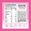 Birdman Creatine Refresher | Creatina Monohidratada con Electrolitos, Magnesio y
