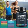 Esunm Vitaminas En Cápsulas Aceite De Semilla Negra Jengibre