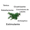 Extracto De Romero Acuoso 120 Ml