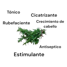 Extracto De Romero Acuoso 120 Ml