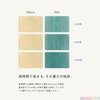 Paleton Blue Shampoo, Color Shampoo, Blue, Damage Care, Beauty Salon