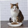 VILLFUL Stainless Steel Cat Dog Bowls Flat Cat Plates Shallow