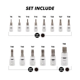 CASOMAN 14-Piece 1/4-Inch, 3/8-Inch & 1/2-Inch Drive Torx Bit Socket Set, T6-T60, Torque Bit Set, Torx Socket Set, CR-V & S2