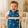AnZai Baby Sleep Sack - Merino Wool and Organic Cotton