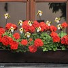DYJAGYO 10Pcs Bee Garden Stakes Decor, Flower Pot Bed GardenDecorGarden