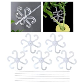 Generic 5X Acrylic Plant Supports Plant Climbers Stem Holders, with Sticks, Accessories Plant Grow Holders for Backyard Yard Balcony