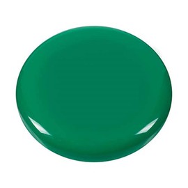 Westcott E-10821 00 Holding Magnets Pack of 10 30 mm Round Green Small