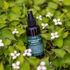 Yuanjae All-in-One Mist Houttuynia cordata Tea Tree SOS, 135g, 1