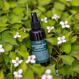 Yuanjae All-in-One Mist Houttuynia cordata Tea Tree SOS, 135g, 1 piece / 유안재 올인원 미스트 어성초 티트리 SOS, 135g, 1개