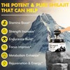 Shilajit Resin, Himalayan Shilajit Pure Himalayan Organic - 600mg Potency