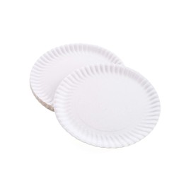 Perfectware 9 Inch White Paper Plates 300ct | Perfectware