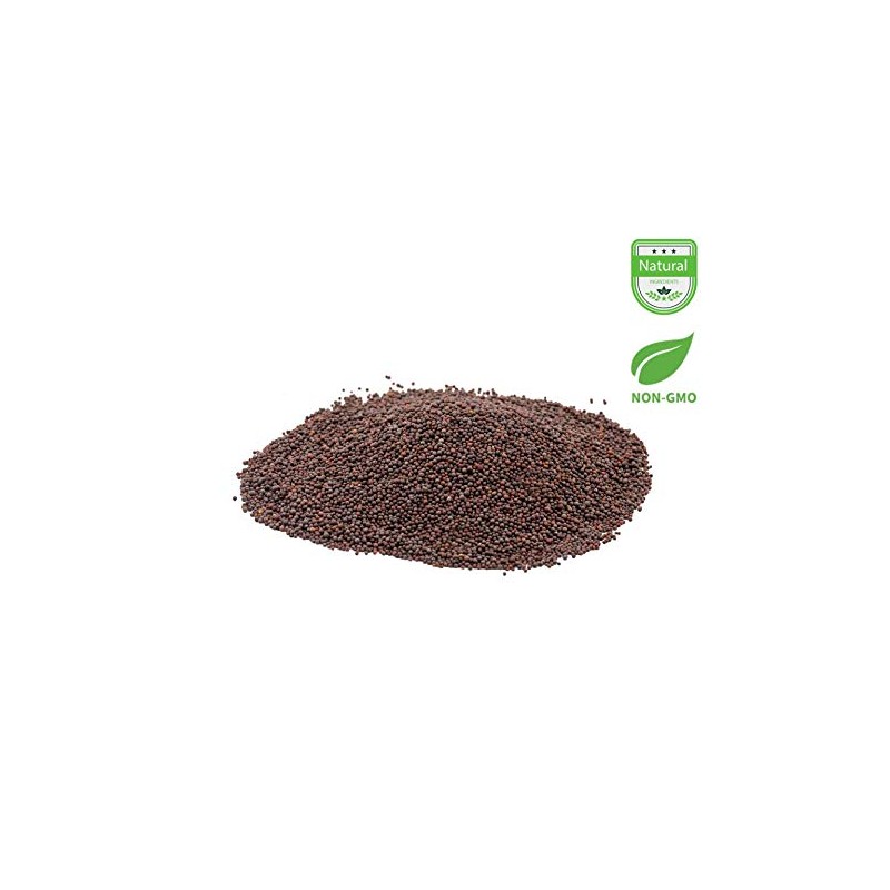 Indian Spice Mustard Seeds 7oz-