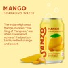 Sanzo Flavored Sparkling Water - Mango Soda Seltzer - Low
